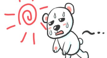 ○○に期待しない　不安定やもん。