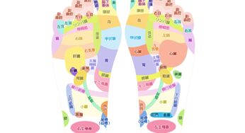 たまには足の裏から脳へずきゅーん！