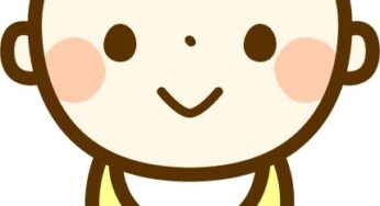 職業：自宅警備員？家事手伝い？