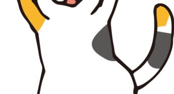 たまにしか出来ない。その後は？