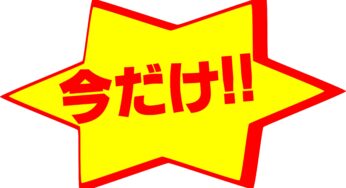 そこにしか無い微妙なもの。。