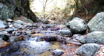 （自然音）川のせせらぎ